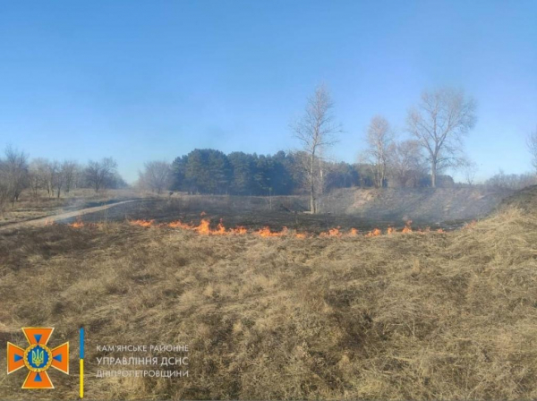 В Каменском выгорело 2 гектара сухой растительности 

