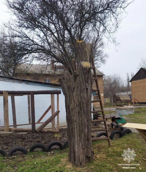 В Кривом Роге задержали мужчин, пиливших деревья без разрешительных документов
В Кривом Роге задержали мужчин, пиливших деревья без разрешительных документов
