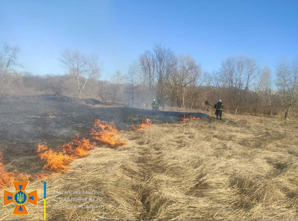 В Каменском выгорело 2 гектара сухой растительности 
