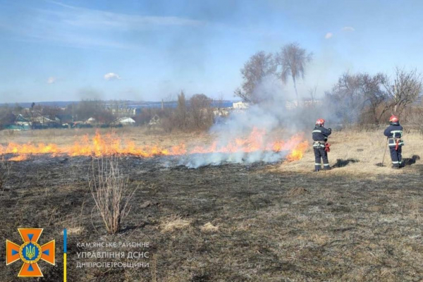 В Каменском районе за сутки трижды тушили горящую траву
