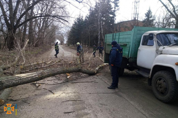 Из-за сильного ветра на дороги Днепропетровщины падают деревья
