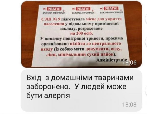 Ограничивать размещение с животными в убежищах школ не планируют
