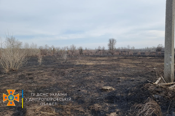 Под Днепром выгорело почти 5 га леса и камыша
