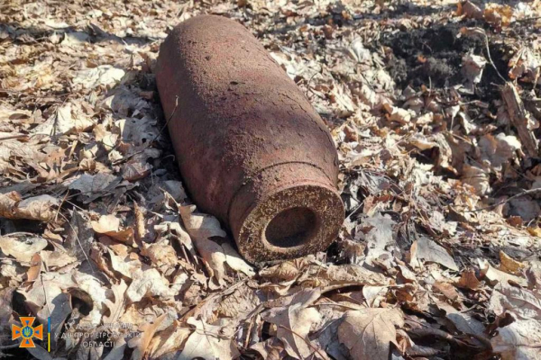 Гулял с собакой и нашел бомбу: в Синельниковском районе обезвредили боеприпас
