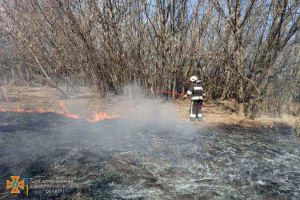 Днепропетровщина в огне: поджигатели сухостоя не дают спасателям передышки
