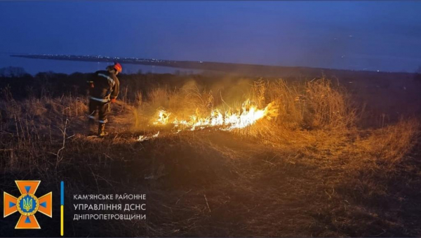 С начала марта на территории Каменского района 37  раз горела сухая растительность
