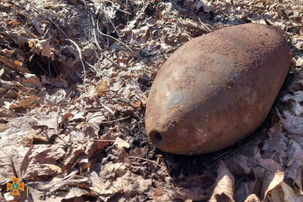 Гулял с собакой и нашел бомбу: в Синельниковском районе обезвредили боеприпас
