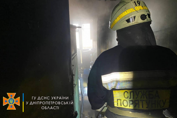 В Днепре из горящей квартиры спасли кота
