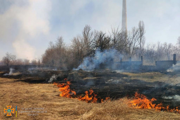 Днепропетровщина в огне: поджигатели сухостоя не дают спасателям передышки
