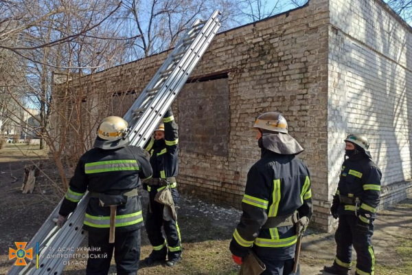 В Покрове спасатели сняли с крыши подростка
