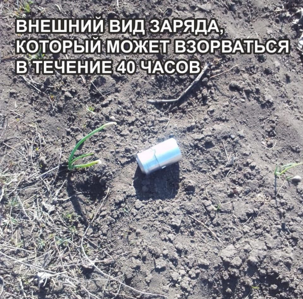 В Криворожском районе отец и сын погибли, подорвавшись на вражеском боеприпасе
