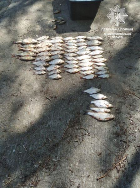 В Днепре задержали браконьеров, нанесших природе ущерб почти на 200 тысяч гривен
