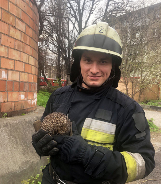 В Днепре спасли ежика, который несколько дней провел на дне коллектора
