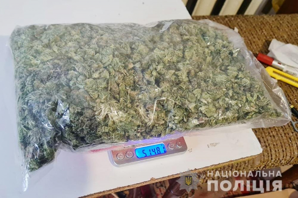В Кривом Роге задержала женщина, которая хранила наркотические препараты на 2 миллиона гривен