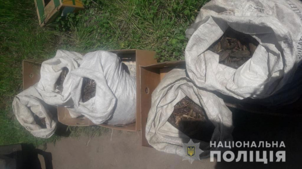 В Днепропетровской области поймали ракового злодея