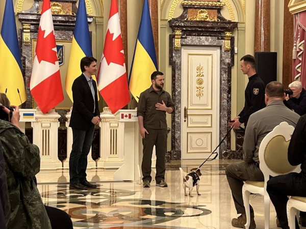 С нами весь мир &ndash; кто и зачем посетил Украину в День памяти и примирения