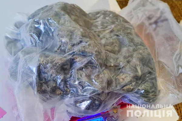 В Кривом Роге задержала женщина, которая хранила наркотические препараты на 2 миллиона гривен