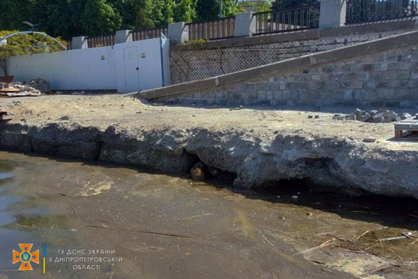 В Днепре спасли трех упавших в реку щенков
