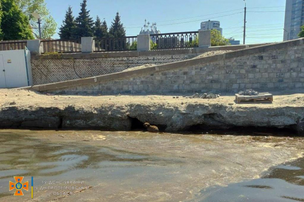 В Днепре спасли трех упавших в реку щенков
