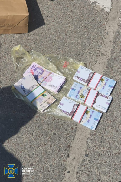 Главного редактора и бывшего чиновника задержали за хищение гуманитарной помощи