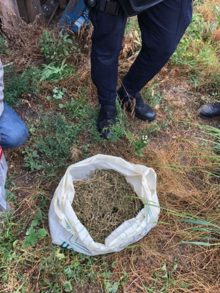 У ранее судимой жительницы Каменского района обнаружили полтора килограмма каннабиса
