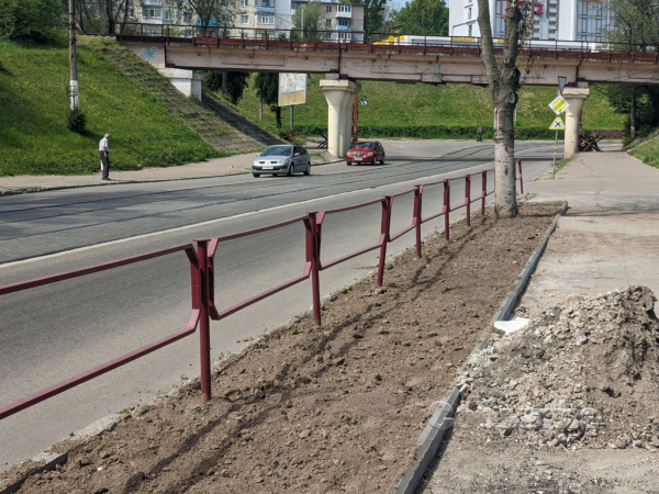 На центральном проспекте в Каменском высаживают новые деревья
