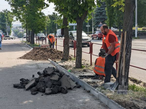 На центральном проспекте в Каменском высаживают новые деревья
