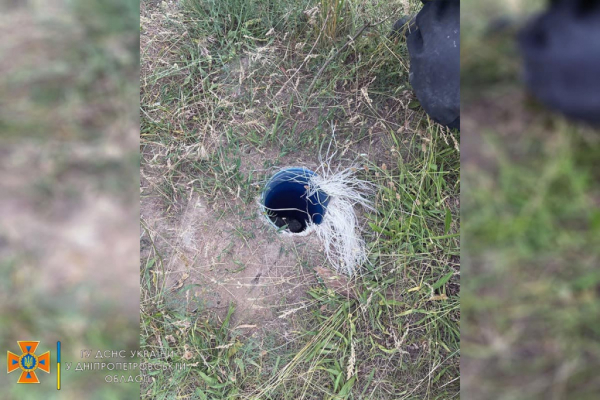 В Днепре спасли застрявшего в трубе ежика
В Днепре спасли застрявшего в трубе ежика