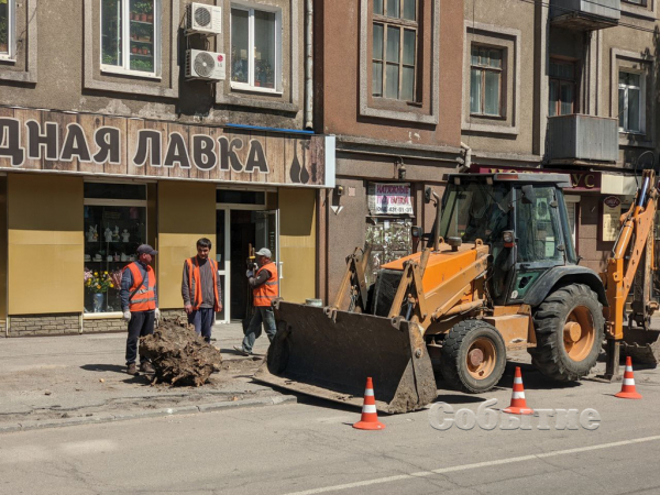 На центральном проспекте в Каменском высаживают новые деревья
