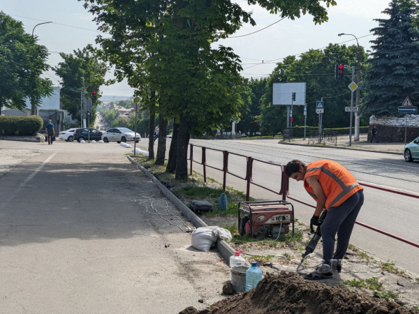 На центральном проспекте в Каменском высаживают новые деревья
