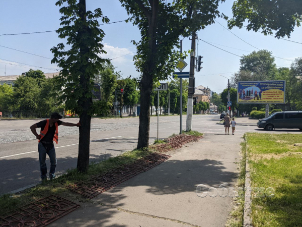 На центральном проспекте в Каменском высаживают новые деревья
