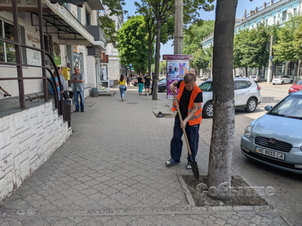 На центральном проспекте в Каменском высаживают новые деревья
