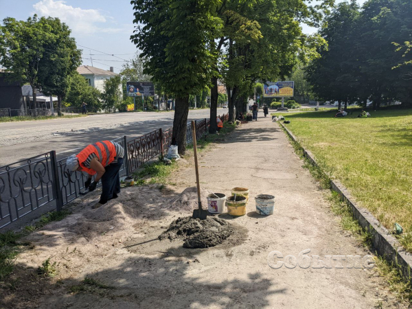 На центральном проспекте в Каменском высаживают новые деревья
