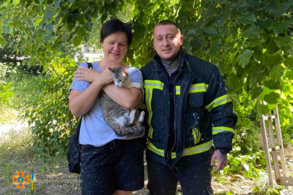 В Днепре спасатели сняли с дерева домашнего кота
