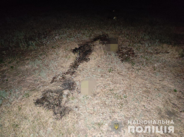 В Каменском мужчина бросил в полицейского &laquo;коктейль Молотова&raquo;
