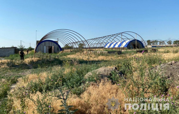 Полиция Днепропетровщины обнаружила теплицы с коноплей на 3 миллиона гривен

