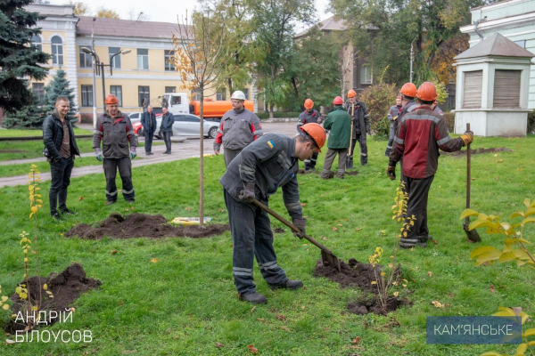 В Каменском высаживали молодые деревья