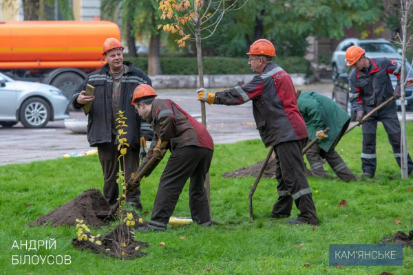 В Каменском высаживали молодые деревья