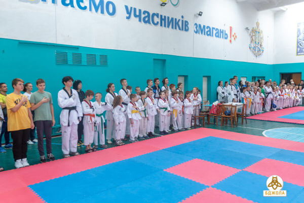 Открытый чемпионат области по тхеквондо состоялся в Каменском
