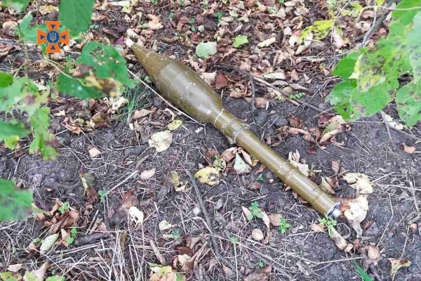 В Каменском и Криворожском районах уничтожили 68 вражеских снарядов
