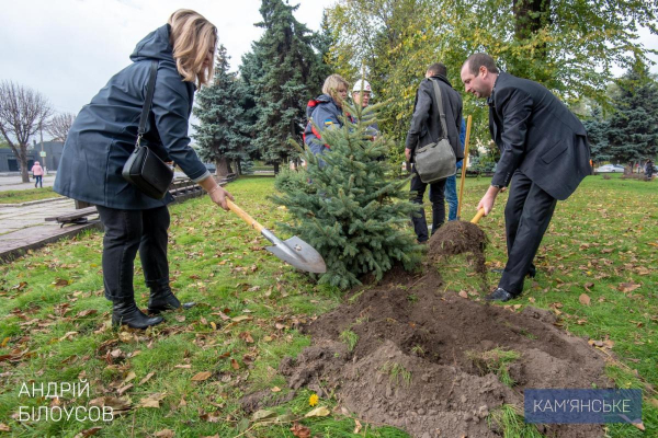 В Каменском высаживали молодые деревья