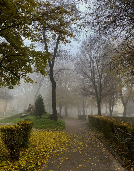 Туманное утро в Каменском.&nbsp;Фоторепортаж