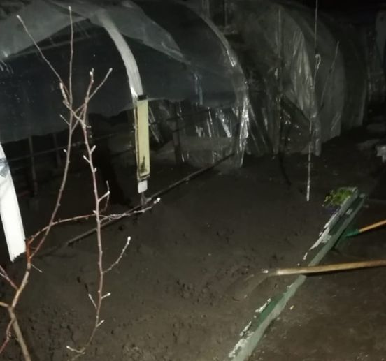 Убил и закопал во дворе: полиция задержала 36-летнего каменчанина