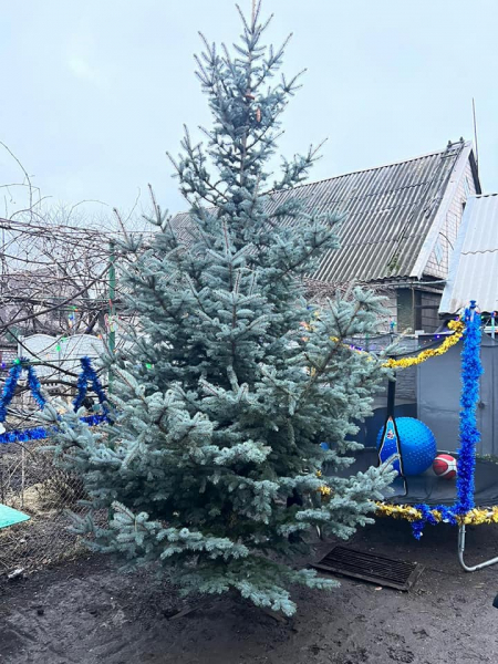 В канун Рождества полицейские Каменского подарили приемной семье елку