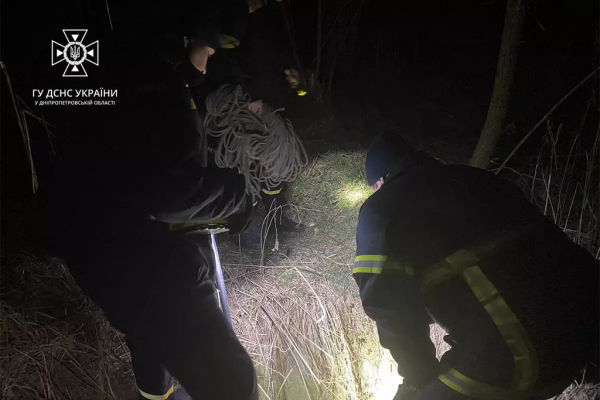 У Дніпрі врятували собаку, що опинився&nbsp;у каналізаційному колодязі
