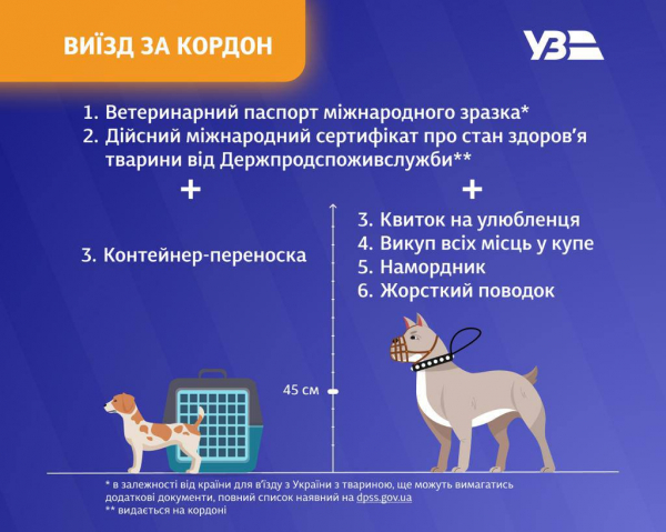 Как путешествовать по железной дороге с домашними любимцами