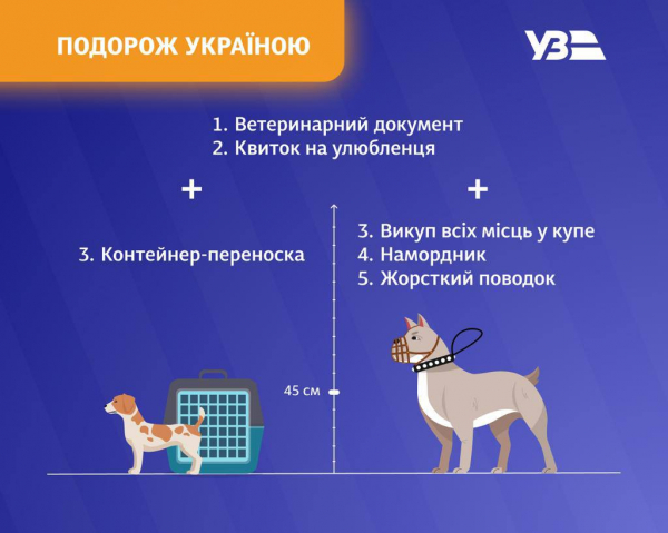 Как путешествовать по железной дороге с домашними любимцами