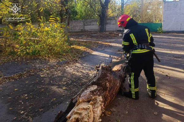 На Дніпропетровщині ліквідовують наслідки негоди
