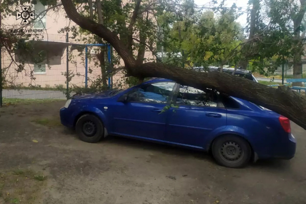 На Дніпропетровщині ліквідовують наслідки негоди