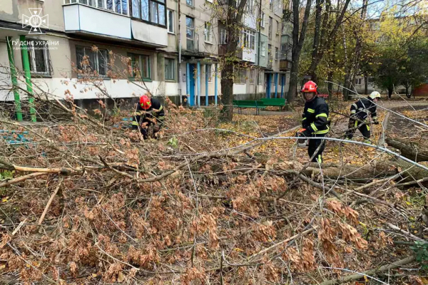 На Дніпропетровщині ліквідовують наслідки негоди